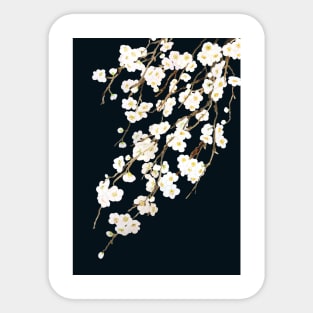 blossom in black background Sticker